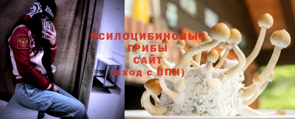 марки nbome Горняк